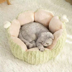 Cactus Cat Bed with Double-Sided Removable Cushion